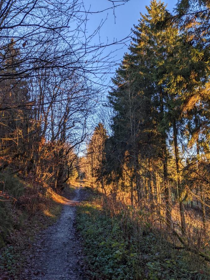 Zentrale Und Gemuetliche Ferienwohnung In Winterberg Nah An Der Natur エクステリア 写真