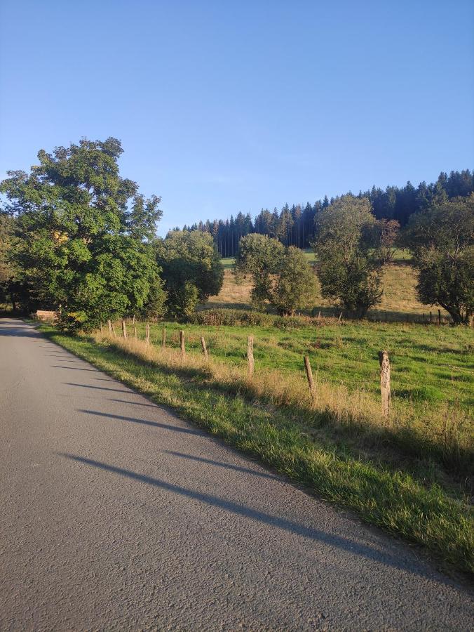 Zentrale Und Gemuetliche Ferienwohnung In Winterberg Nah An Der Natur エクステリア 写真