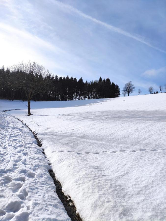Zentrale Und Gemuetliche Ferienwohnung In Winterberg Nah An Der Natur エクステリア 写真