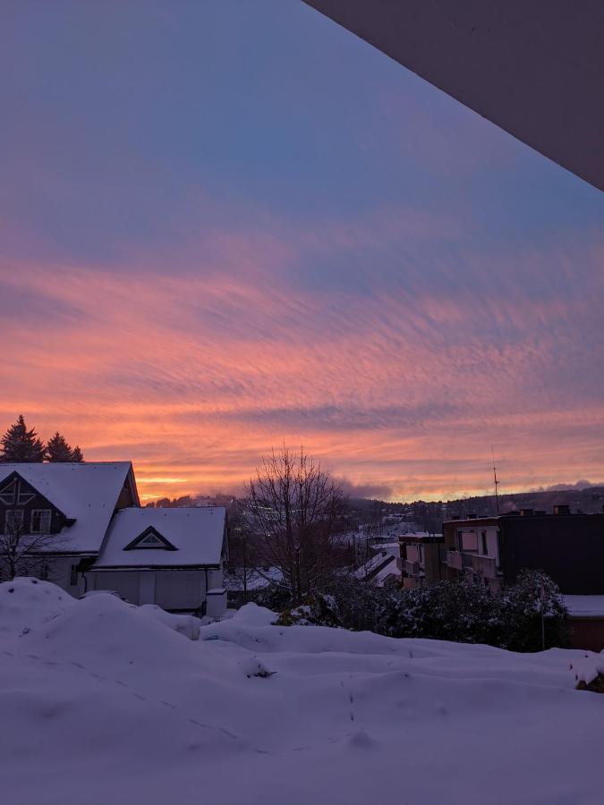 Zentrale Und Gemuetliche Ferienwohnung In Winterberg Nah An Der Natur エクステリア 写真
